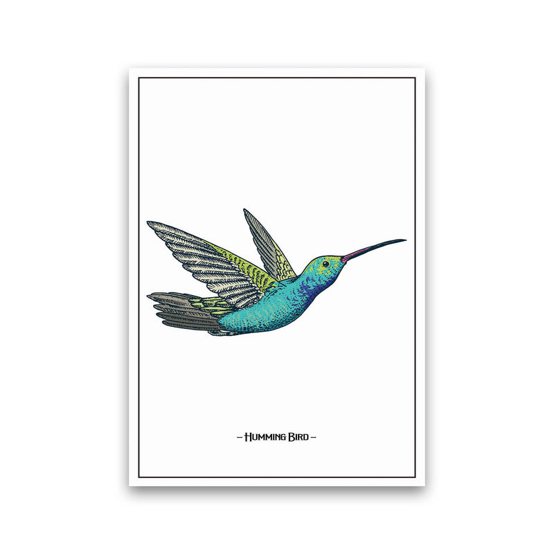 Humming Bird Art Print by Jason Stanley Print Only