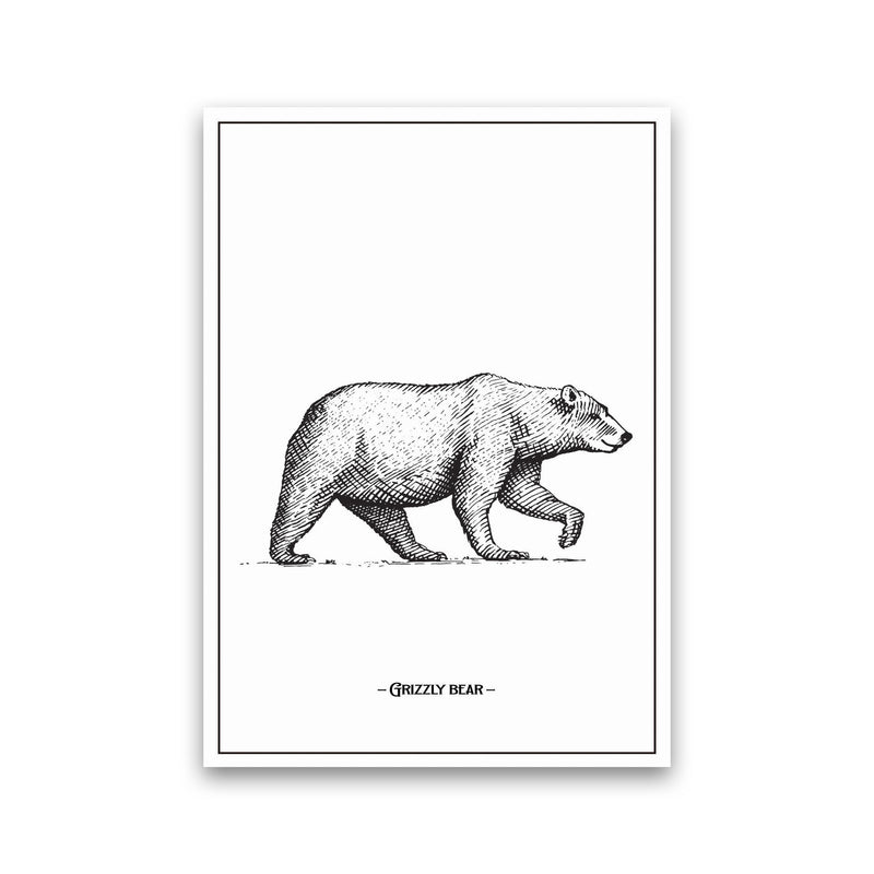 Grizzly Bear Art Print by Jason Stanley Print Only