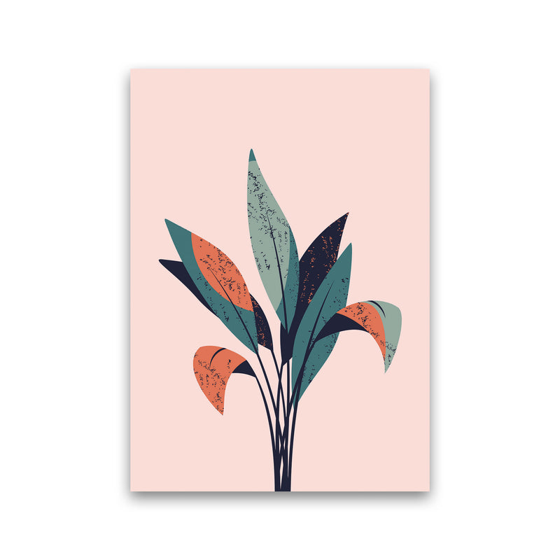Pink Plant Art Print by Jason Stanley Print Only