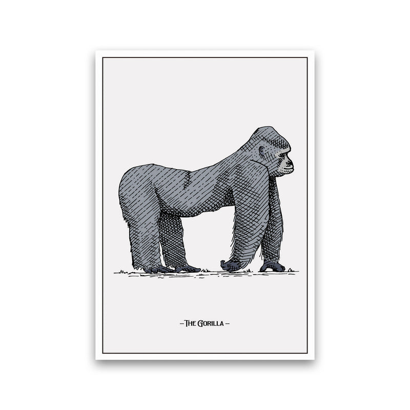 The Gorilla Art Print by Jason Stanley Print Only