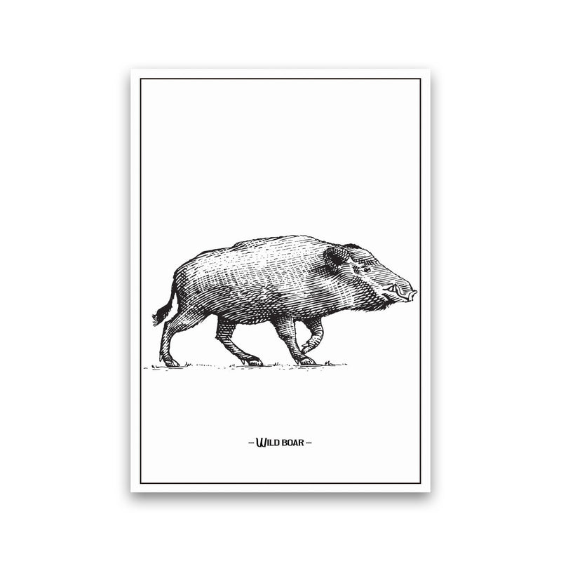 Wild Boar Art Print by Jason Stanley Print Only