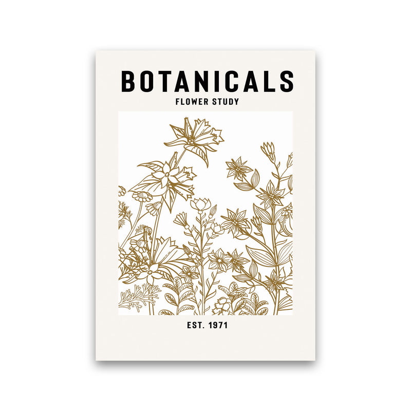 Botanicals Flower Study II Art Print by Jason Stanley Print Only
