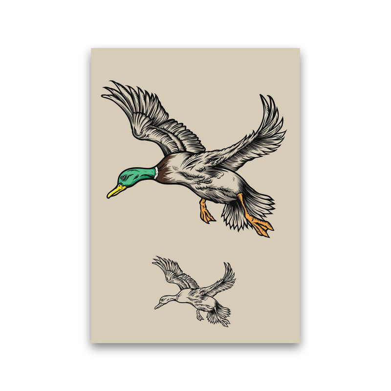 Flying Ducks Art Print by Jason Stanley Print Only