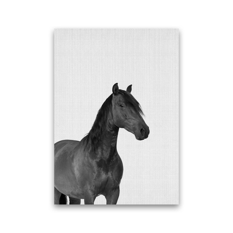The Dark Horse Rides At Night Art Print by Jason Stanley Print Only