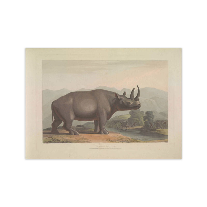 Vintage Rhino Illustration Art Print by Jason Stanley Print Only