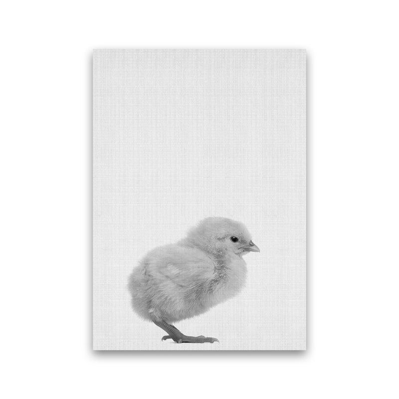 Just Me And My Chick Copy Art Print by Jason Stanley Print Only