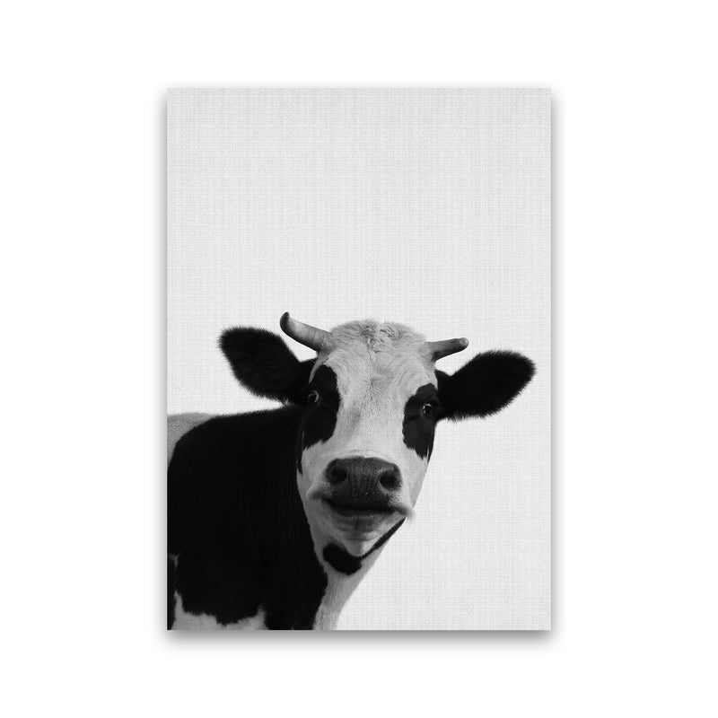 Holy Cow Art Print by Jason Stanley Print Only