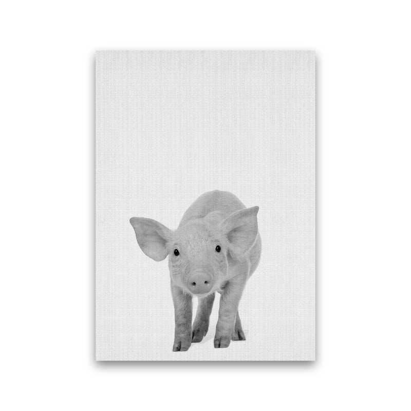 The Cutest Pig Art Print by Jason Stanley Print Only