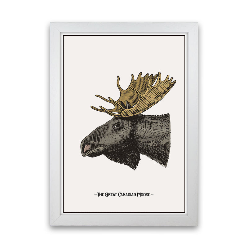 The Great Canadian Moose Art Print by Jason Stanley White Grain
