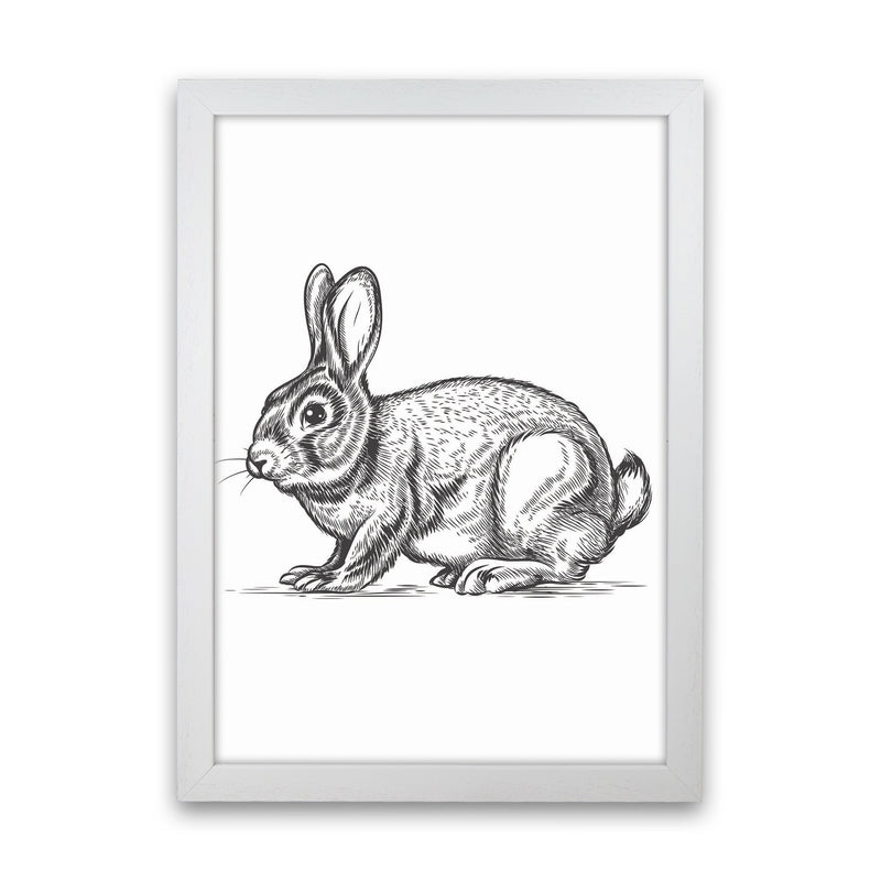 Watch Out For The Bunny Art Print by Jason Stanley White Grain