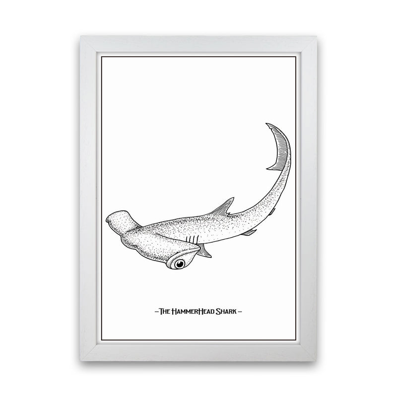 The Hammerhead Shark Art Print by Jason Stanley White Grain