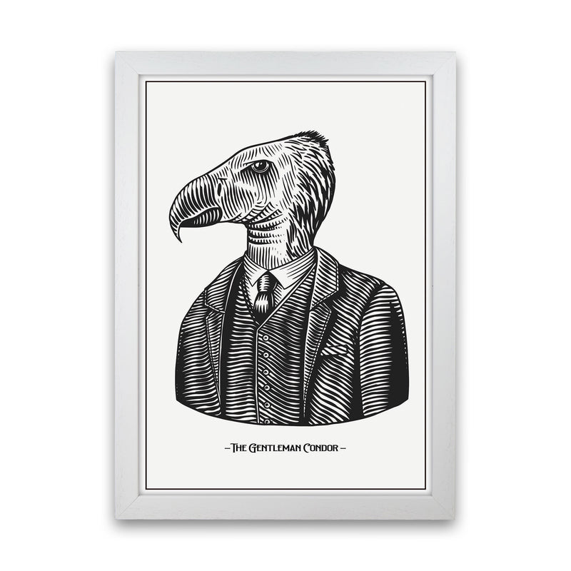 The Gentleman Condor Art Print by Jason Stanley White Grain