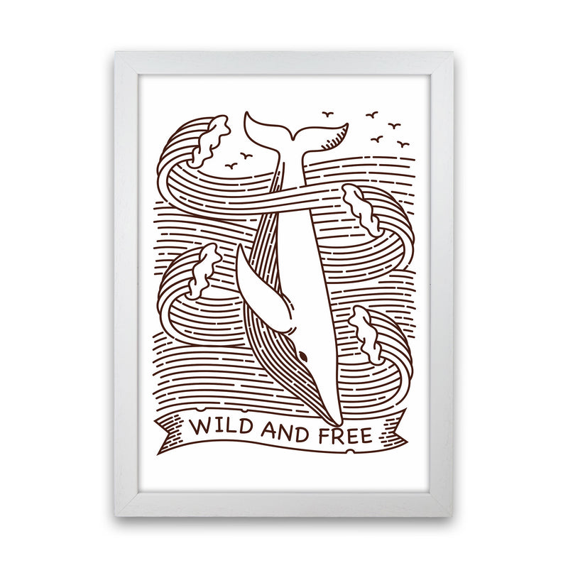Wild And Free Whale Art Print by Jason Stanley White Grain