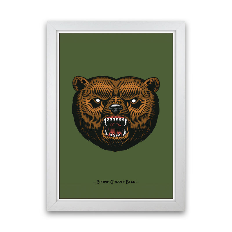 Brown Grizzly Bear Art Print by Jason Stanley White Grain
