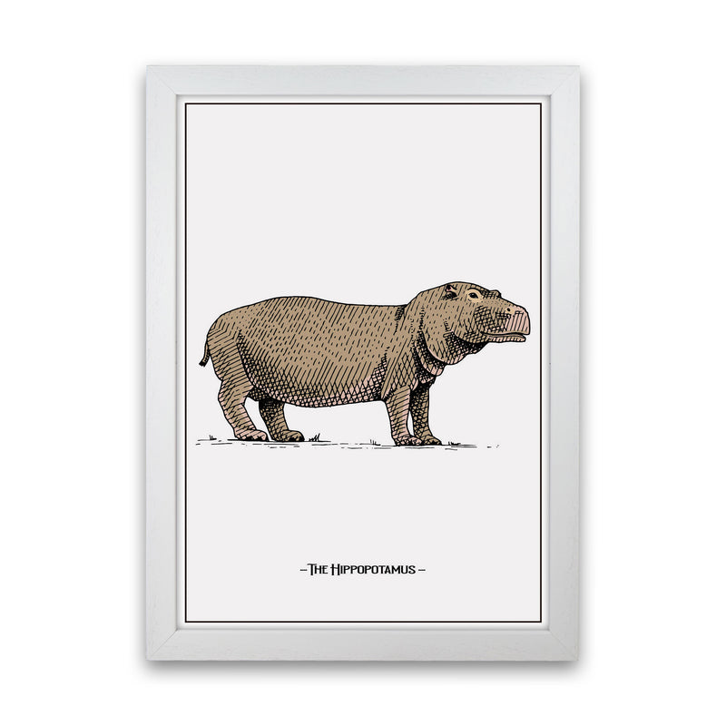 The Hippopotamus Art Print by Jason Stanley White Grain