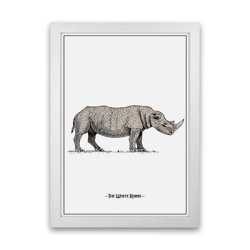 The White Rhino Art Print by Jason Stanley White Grain