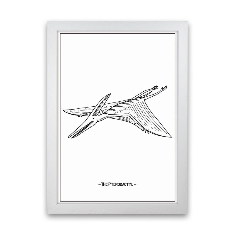 The Pterodactyl Art Print by Jason Stanley White Grain