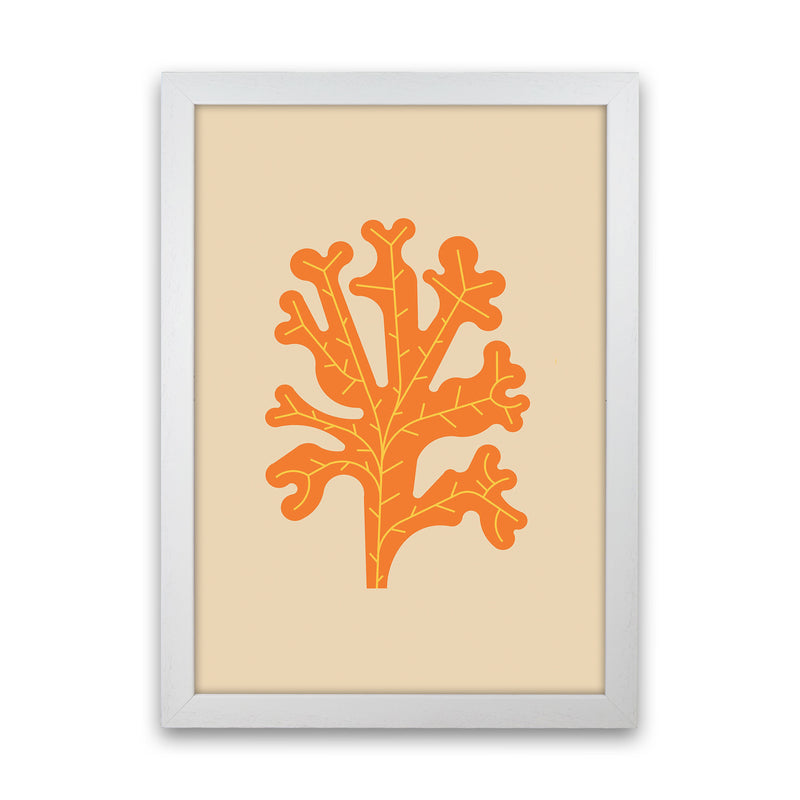 Orange Seaweed Art Print by Jason Stanley White Grain