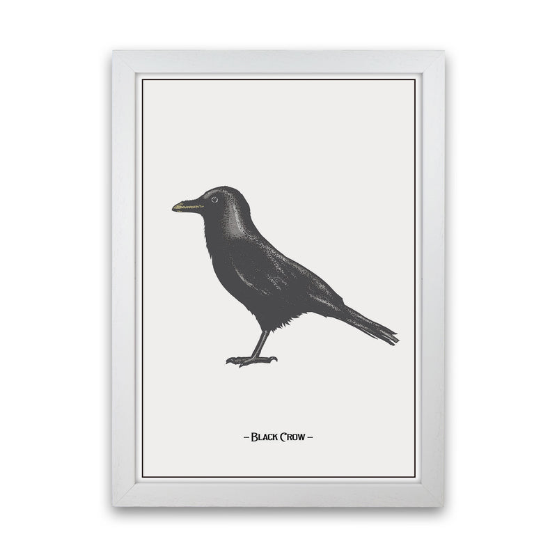 The Black Crow Art Print by Jason Stanley White Grain