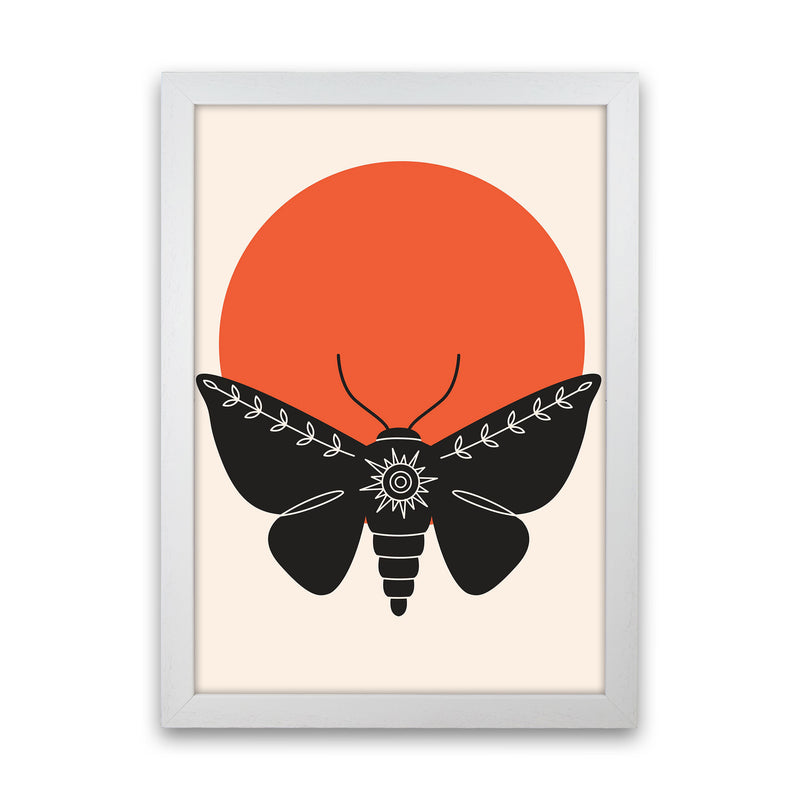 Sunshine Moth Art Print by Jason Stanley White Grain