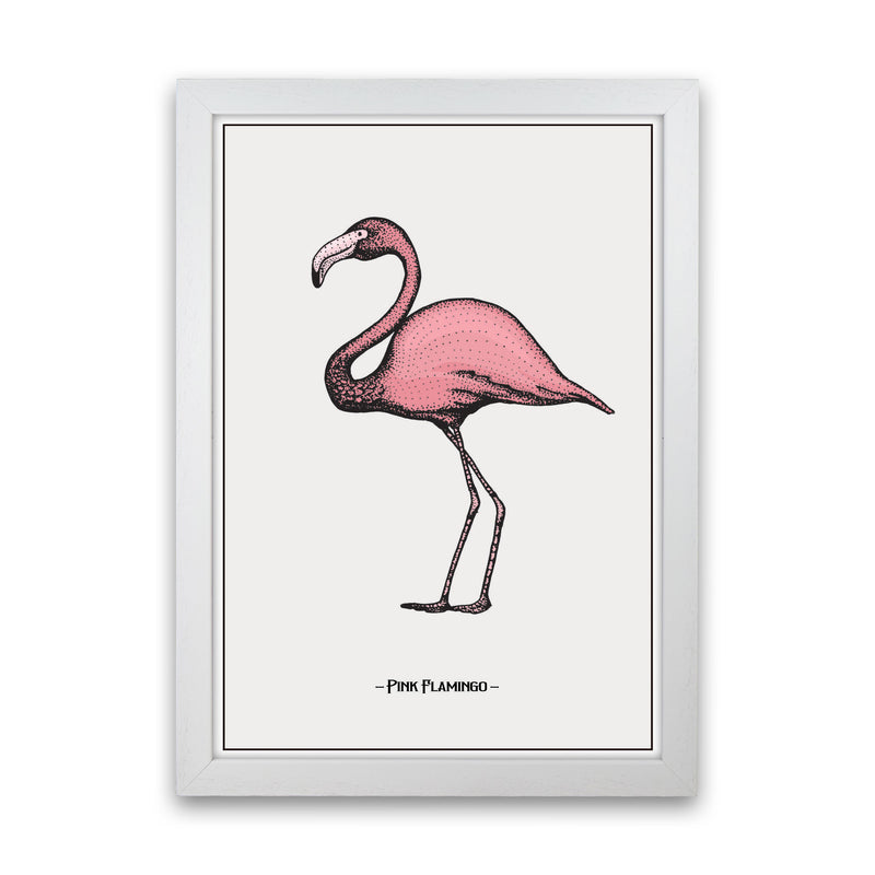 Pink Flamingo Art Print by Jason Stanley White Grain