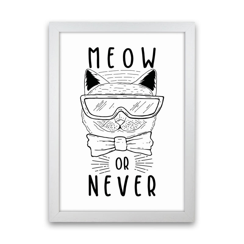 Meow Or Never Art Print by Jason Stanley White Grain