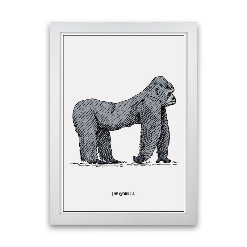 The Gorilla Art Print by Jason Stanley White Grain