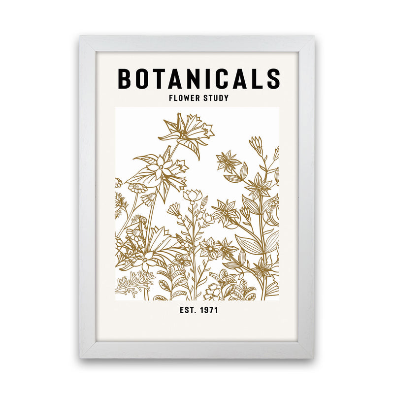 Botanicals Flower Study II Art Print by Jason Stanley White Grain