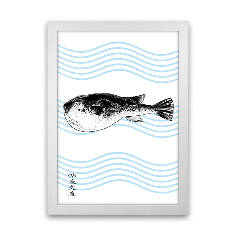 Fugu Art Print by Jason Stanley White Grain