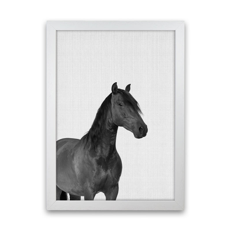 The Dark Horse Rides At Night Art Print by Jason Stanley White Grain