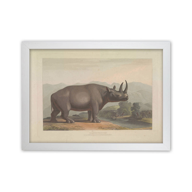 Vintage Rhino Illustration Art Print by Jason Stanley White Grain