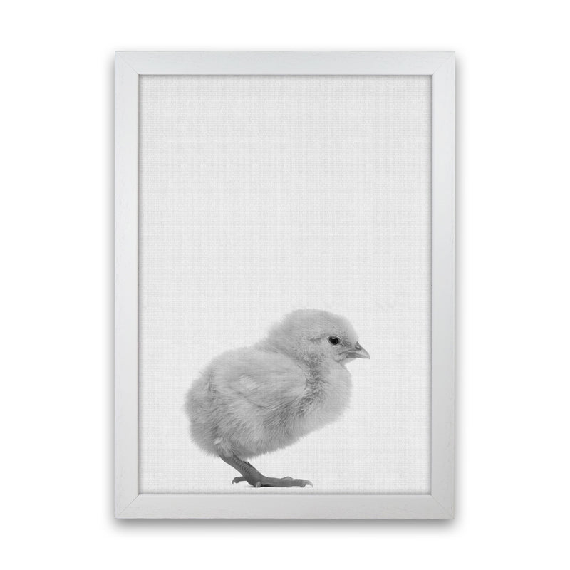 Just Me And My Chick Art Print by Jason Stanley White Grain