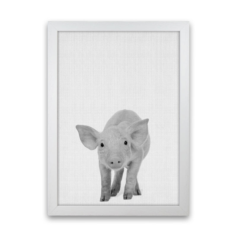 The Cutest Pig Art Print by Jason Stanley White Grain