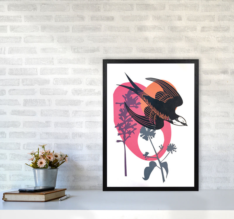 Evening Swallow Art Print by Kate Heiss A2 White Frame