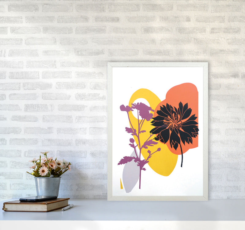 Scabiosa & Daisy Art Print by Kate Heiss A2 Oak Frame