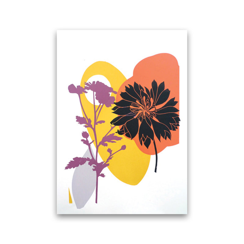 Scabiosa & Daisy Art Print by Kate Heiss Print Only