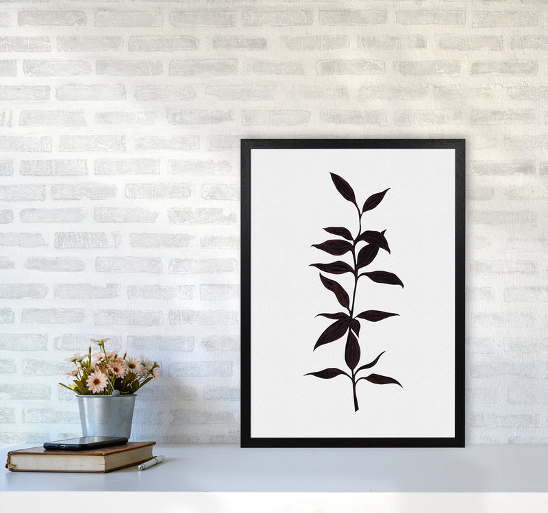 Inked Bamboo Botanical Art Print by Kookiepixel A2 White Frame