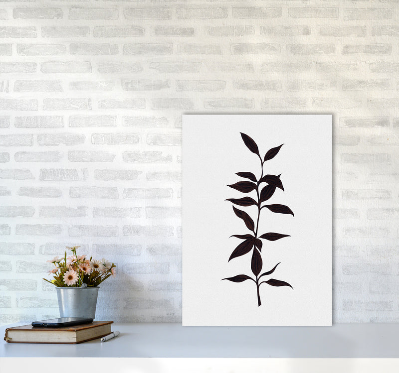 Inked Bamboo Botanical Art Print by Kookiepixel A2 Black Frame