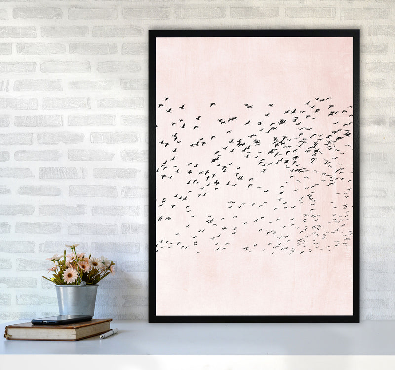 500 Seagulls Modern Contemporary Art Print by Kubistika A1 White Frame