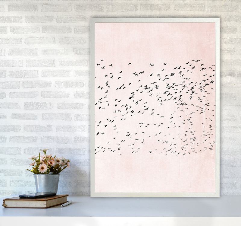 500 Seagulls Modern Contemporary Art Print by Kubistika A1 Oak Frame