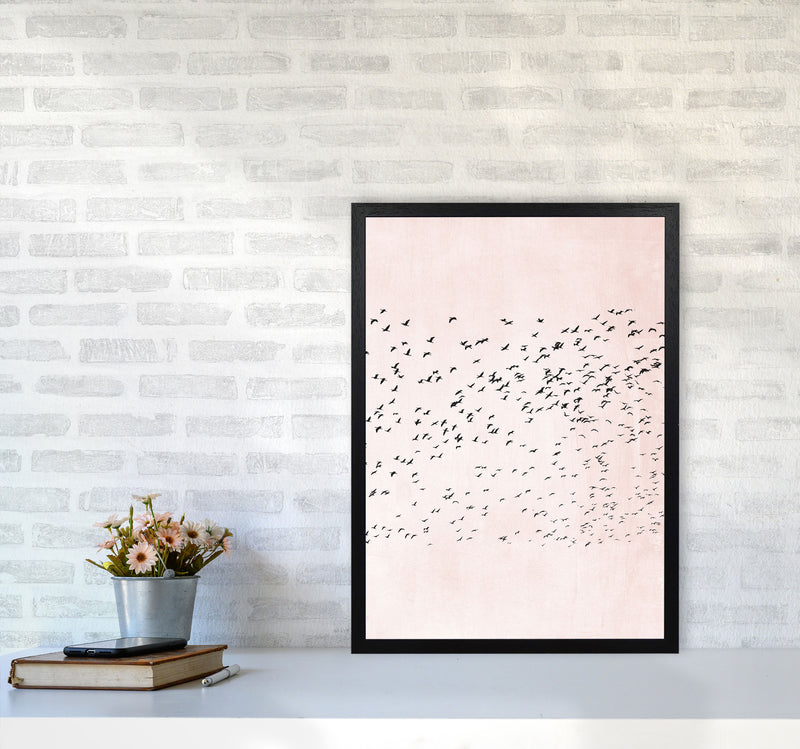 500 Seagulls Modern Contemporary Art Print by Kubistika A2 White Frame