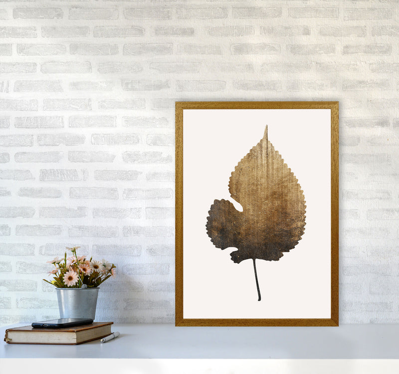 Golden leaf No Botanical Art Print by Kubistika A2 Print Only