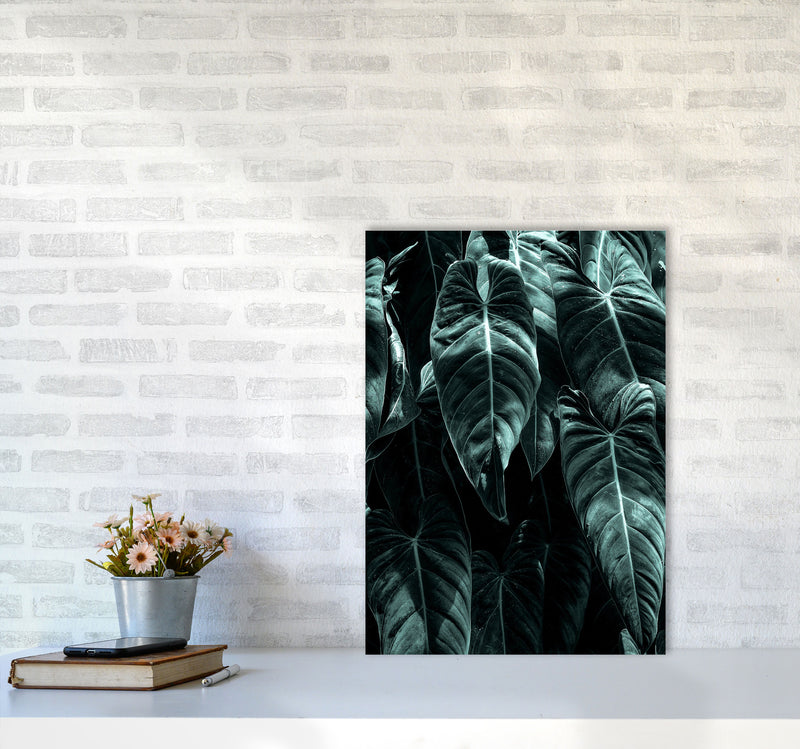 The Jungle Photography Art Print by Kubistika A2 Black Frame