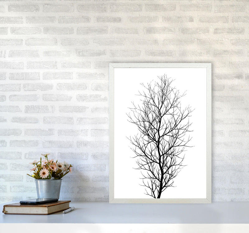 The Tree - BLACK Contemporary Art Print by Kubistika A2 Oak Frame
