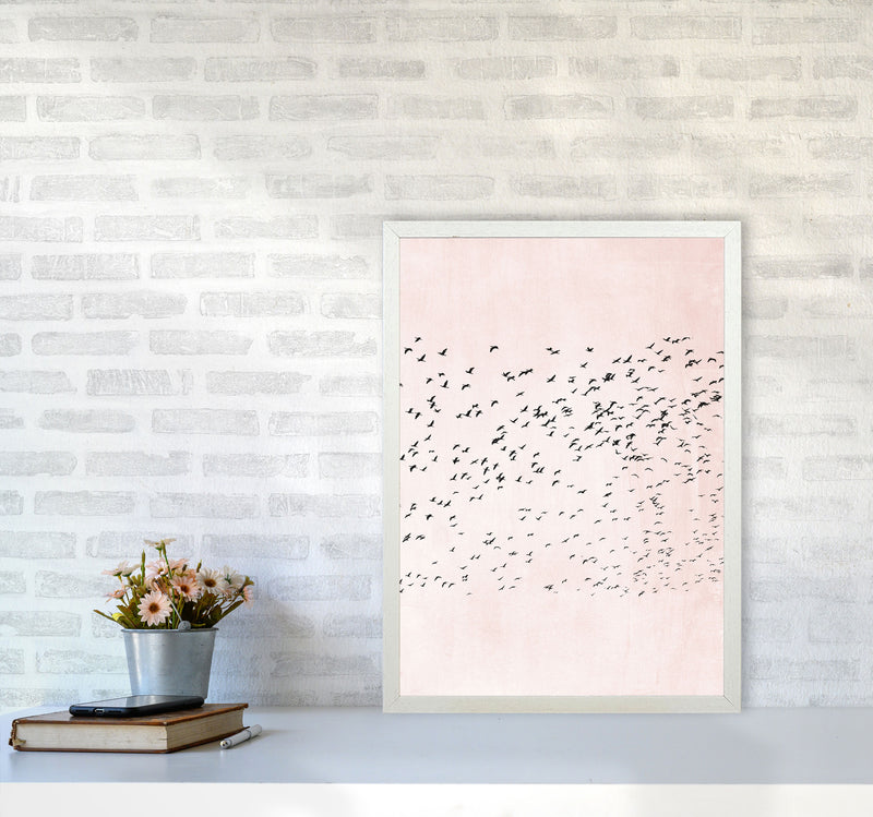 500 Seagulls Modern Contemporary Art Print by Kubistika A2 Oak Frame