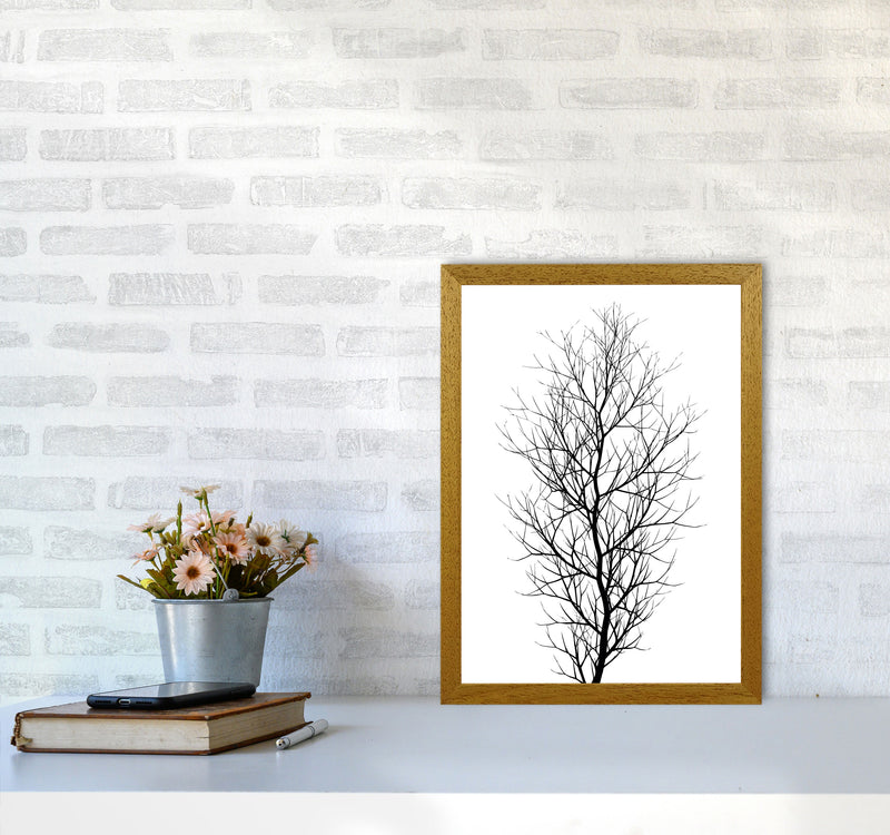 The Tree - BLACK Contemporary Art Print by Kubistika A3 Print Only