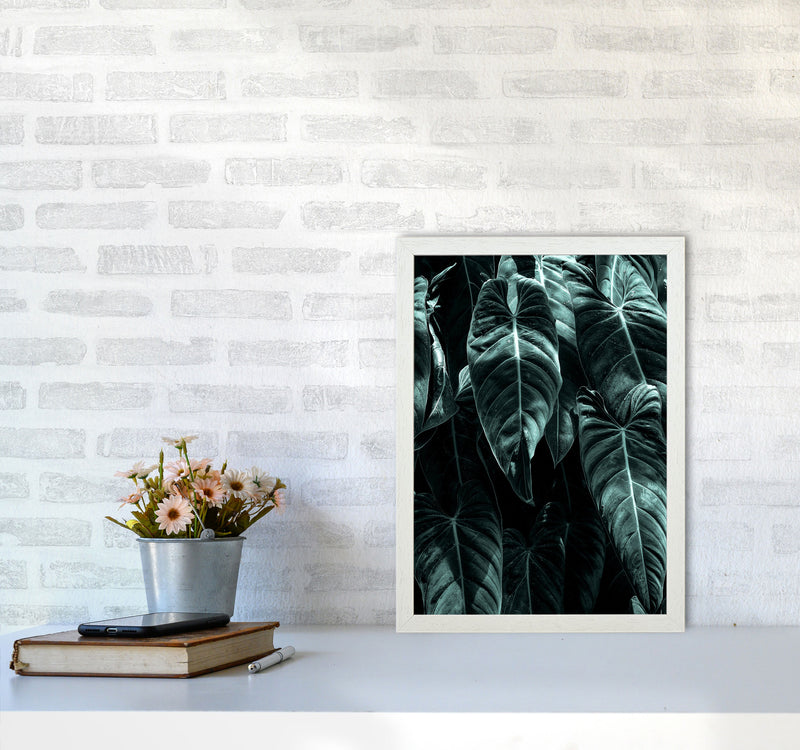 The Jungle Photography Art Print by Kubistika A3 Oak Frame