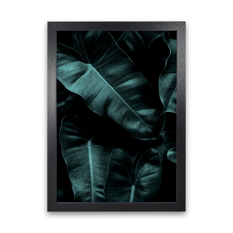 Dark Leafs Photography Art Print by Kubistika Black Grain