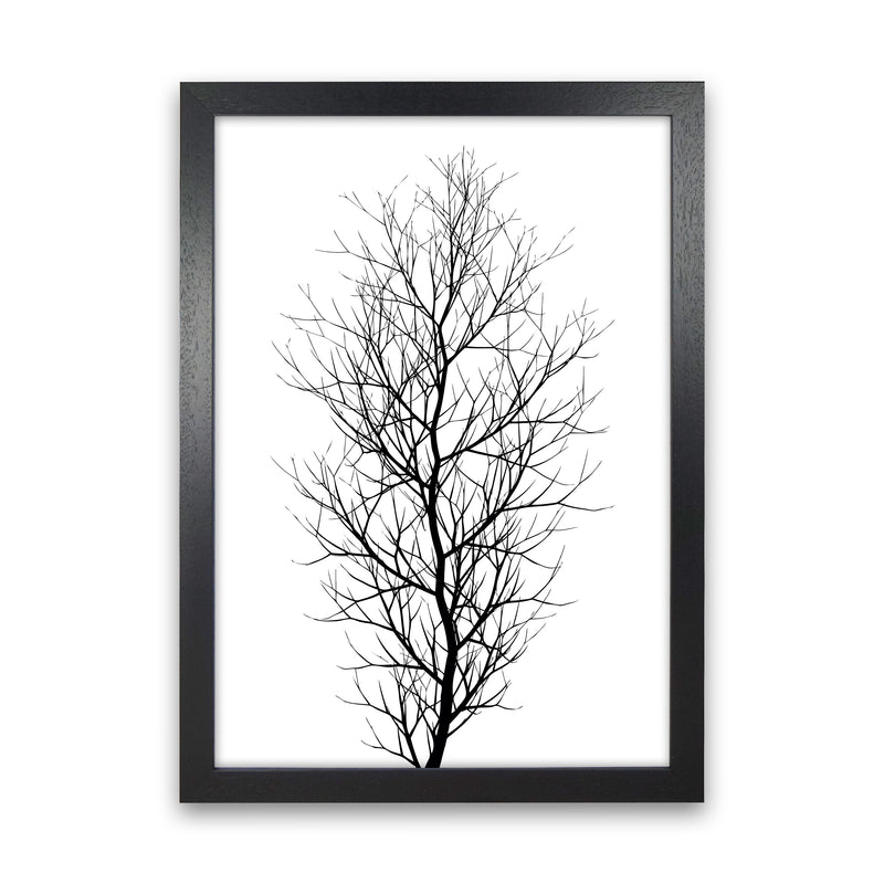 The Tree - BLACK Contemporary Art Print by Kubistika Black Grain