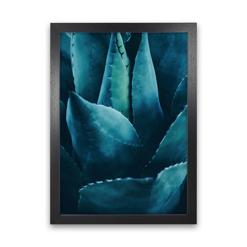 Cactus No 4 Photography Art Print by Kubistika Black Grain